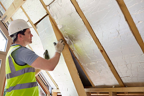 Best Insulation Maintenance and Repair in Byron Center, MI